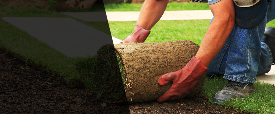 Rowland Heights Landscapers